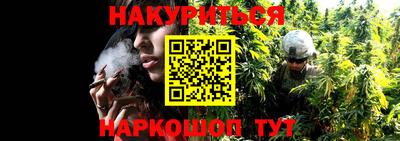 сатива Северобайкальск