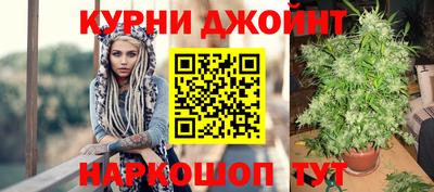 крисы Севастополь