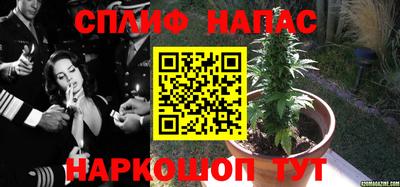 сатива Северобайкальск