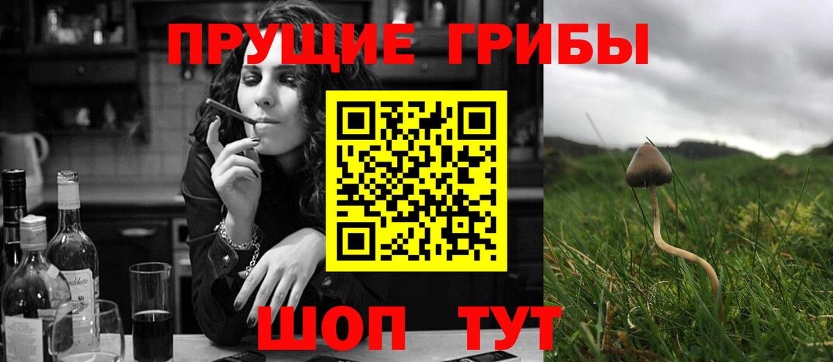 Псилоцибиновые грибы MAGIC MUSHROOMS Осинники